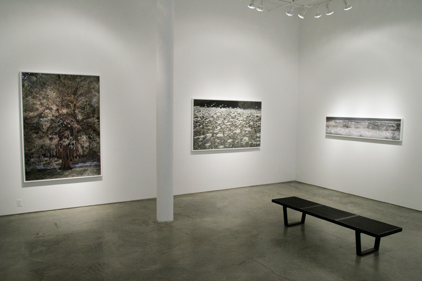 Exhibition Image by Aziz + Cucher