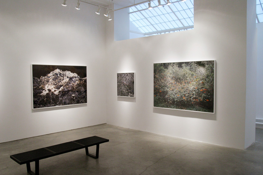 Exhibition Image by Aziz + Cucher