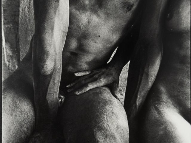 A black-and-white photograph of a male and female nude model seen close up from the knees to the neck.