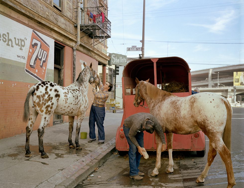 Skip Wheeler and his wife groom their horses after Veteran’s Day Parade, Folso by Janet Delaney