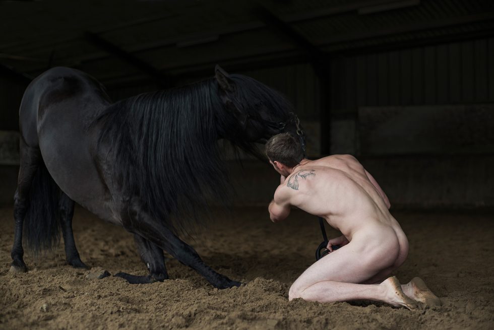 Nick Turner, Untitled (Dark Horse) by 