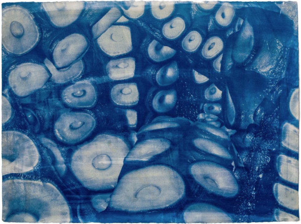 Brian Buckley, Untitled by 