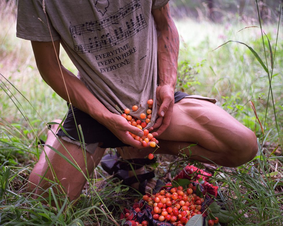 Cherries by Adrain Chesser