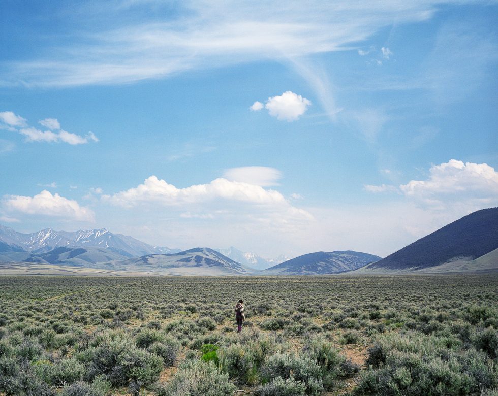 Sage Field by Adrain Chesser