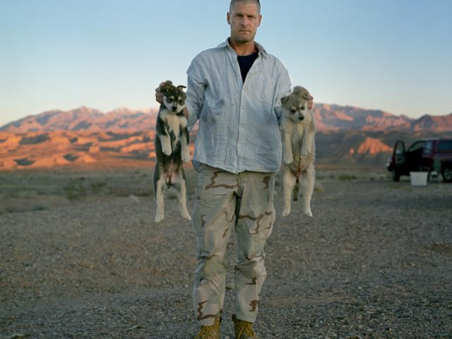 Adrain Chesser, Wolf Pups, North of Virgin Peak, NV