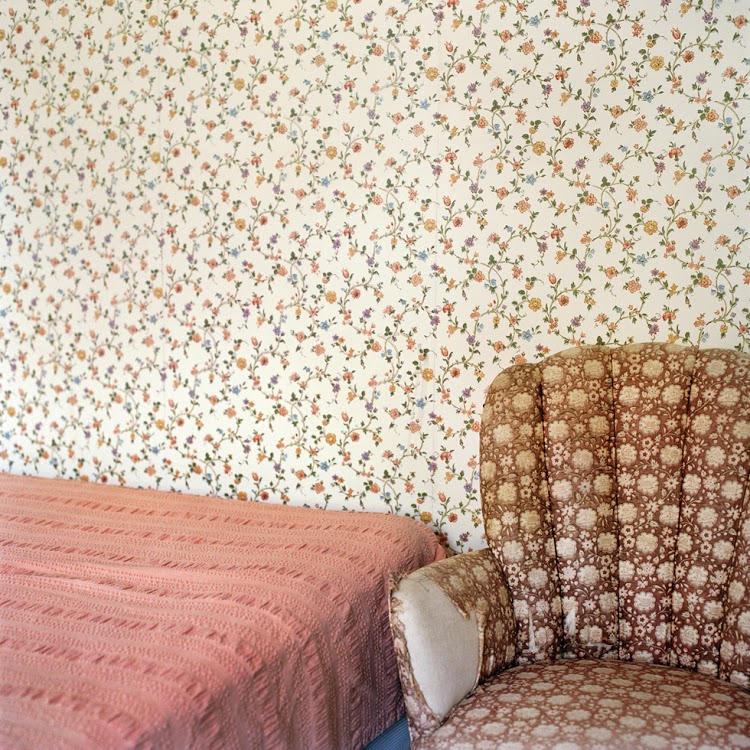 Frances F. Denny, Floral Patterns by 