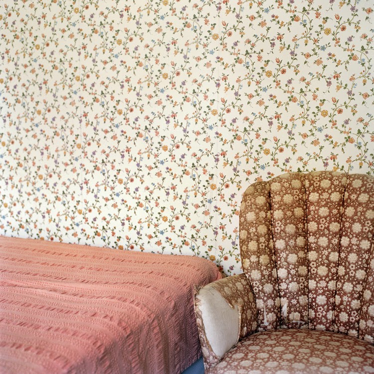 Frances F. Denny, Floral Patterns by 