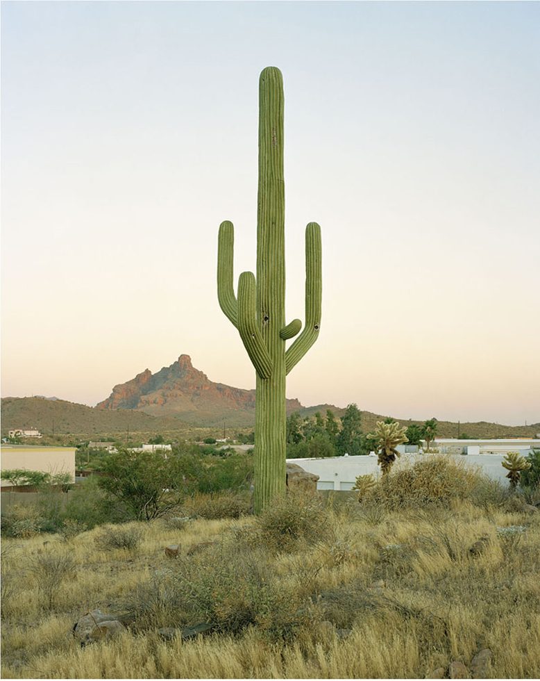 East Cosmic Drive, Technology Drive, Fountain Hills, Arizona by Robert Voit