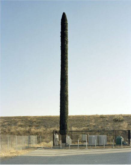 Click for sizes / editions / prices. Robert Voit, Dexter Avenue, Lake Elsinore, California