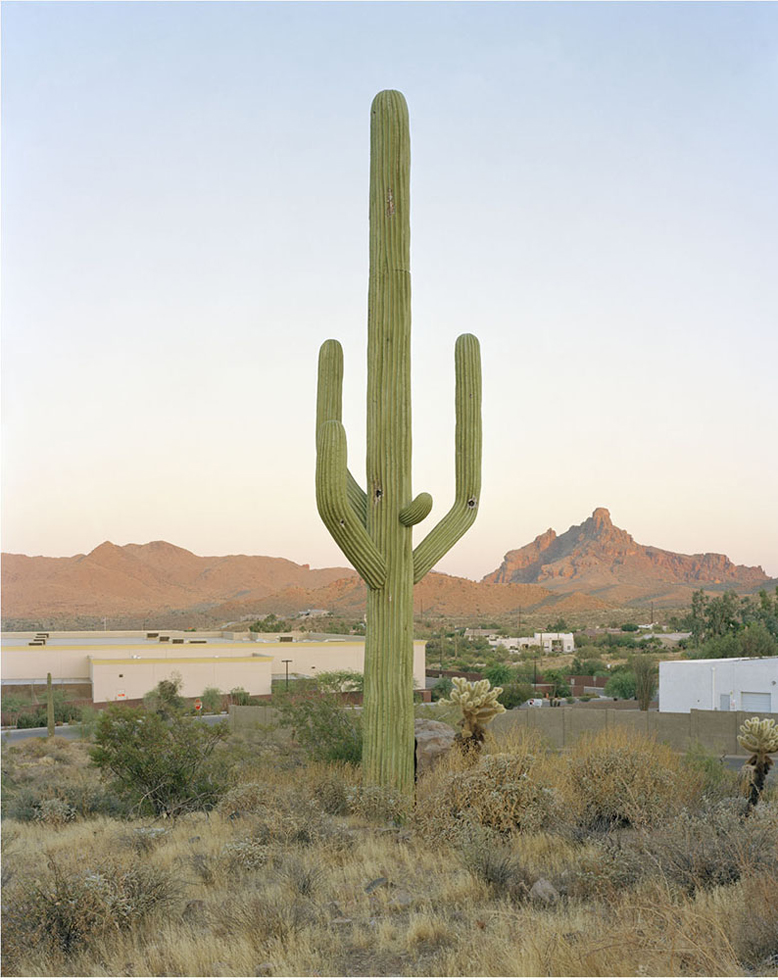 East Cosmic Drive, Technology Drive, Fountain Hills, Arizona by Robert Voit