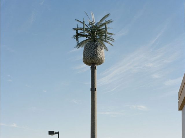 Robert Voit, East Horizon Ridge Parkway, Las Vegas, Nevada