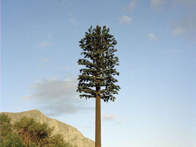 The Alphabet of New Plants　Robert Voit The Alphabet of New Plants | CLAMP