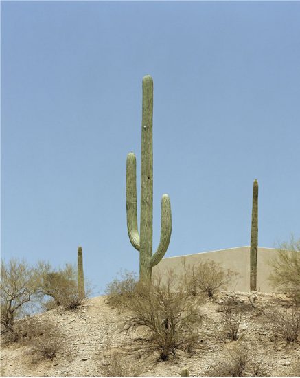Click for sizes / editions / prices. Robert Voit, Saguaro Canyon, Tucson, Arizona