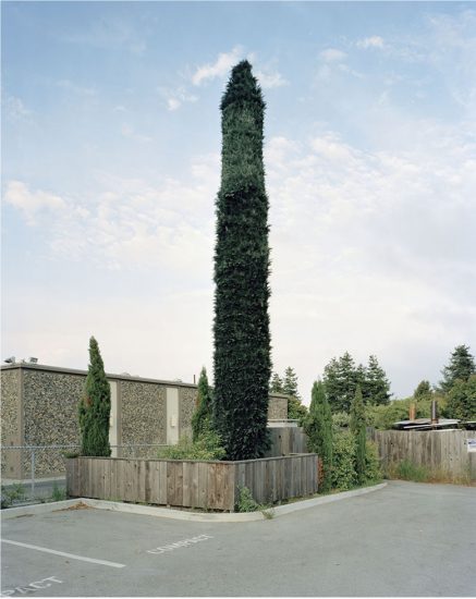 Click for sizes / editions / prices. Robert Voit, Santa Cruz