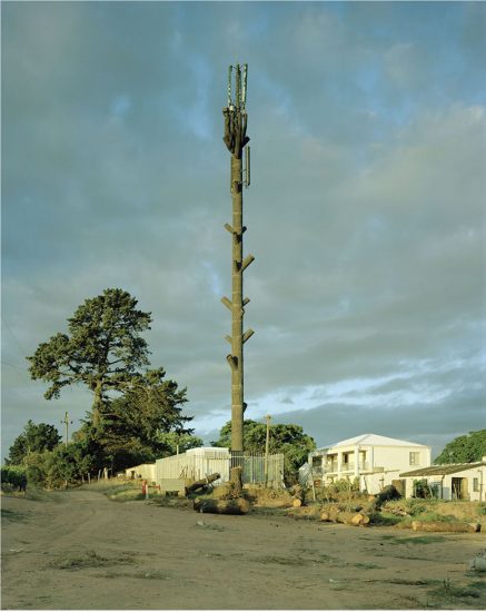 Click for sizes / editions / prices. Robert Voit, Spier Stellenbosch, South Africa