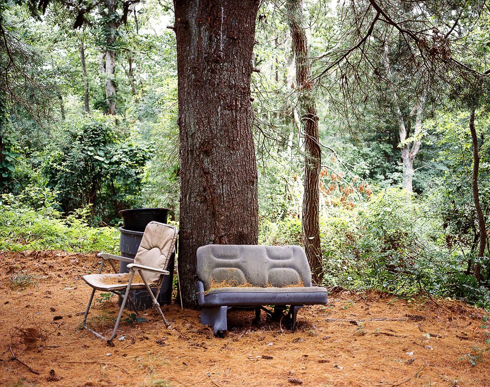 Into the Woods, Palmer Davis by 