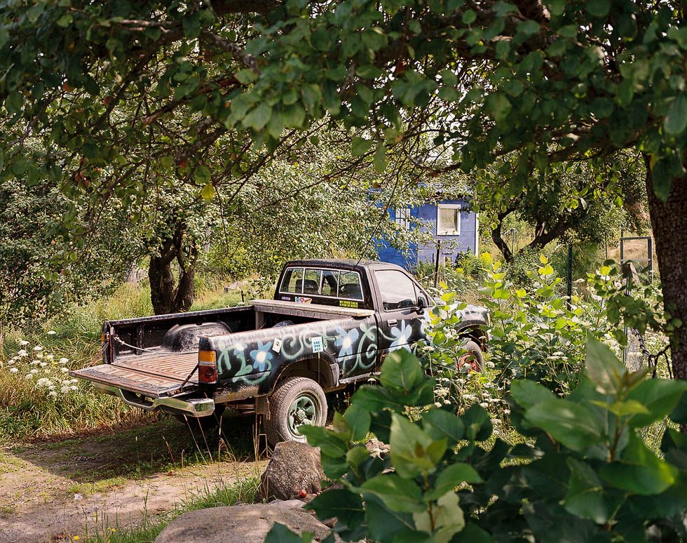 Painted Truck, Palmer Davis by 