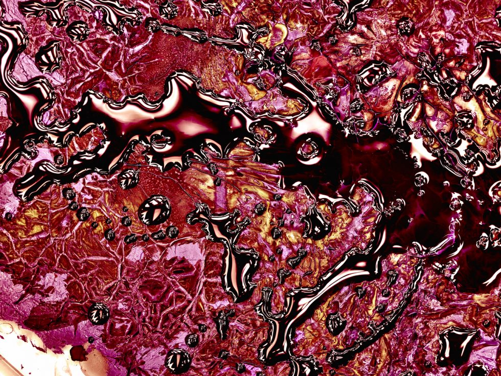 Jill Greenberg, 141016 Painting 0191 by 