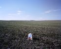 This is a color photograph of a vast plowed field with a goldfish in a bag at the center of the frame.