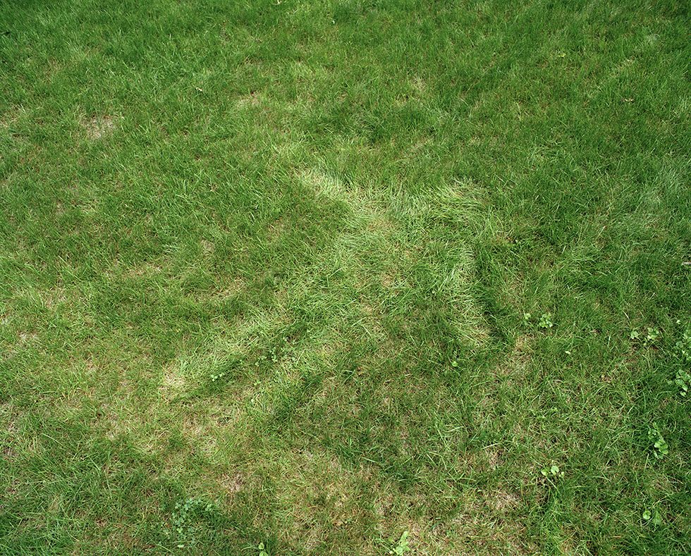 An Impression of Myself in a Field by Adam Ekberg