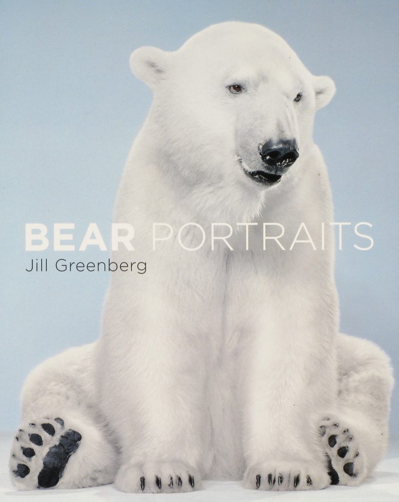 JillGreenberg_BearPortraits_980 by 