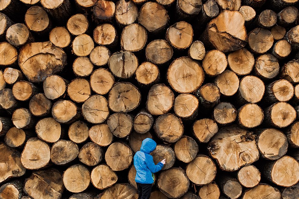 Jesse Burke, Lumberjack by 