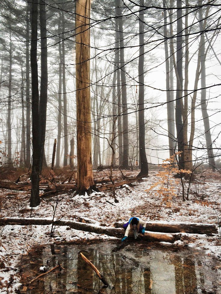 Jesse Burke, Wildwood in the Pines by 