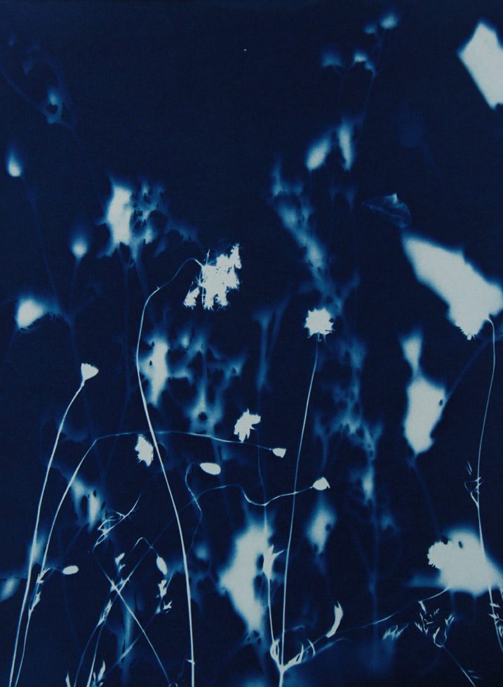 Pipo Nguyen-duy, Untitled_01, Monet’s Garden, Giverny by 