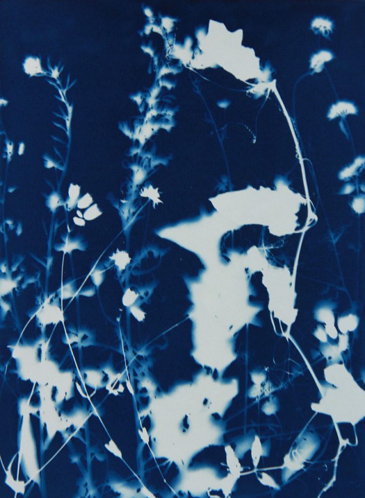 Pipo Nguyen-duy, Untitled_09, Monet’s Garden, Giverny by 