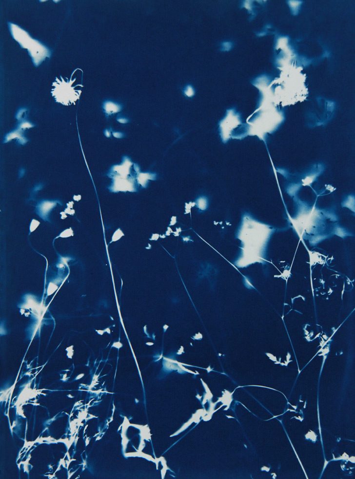Pipo Nguyen-duy, Untitled_10, Monet’s Garden, Giverny by 
