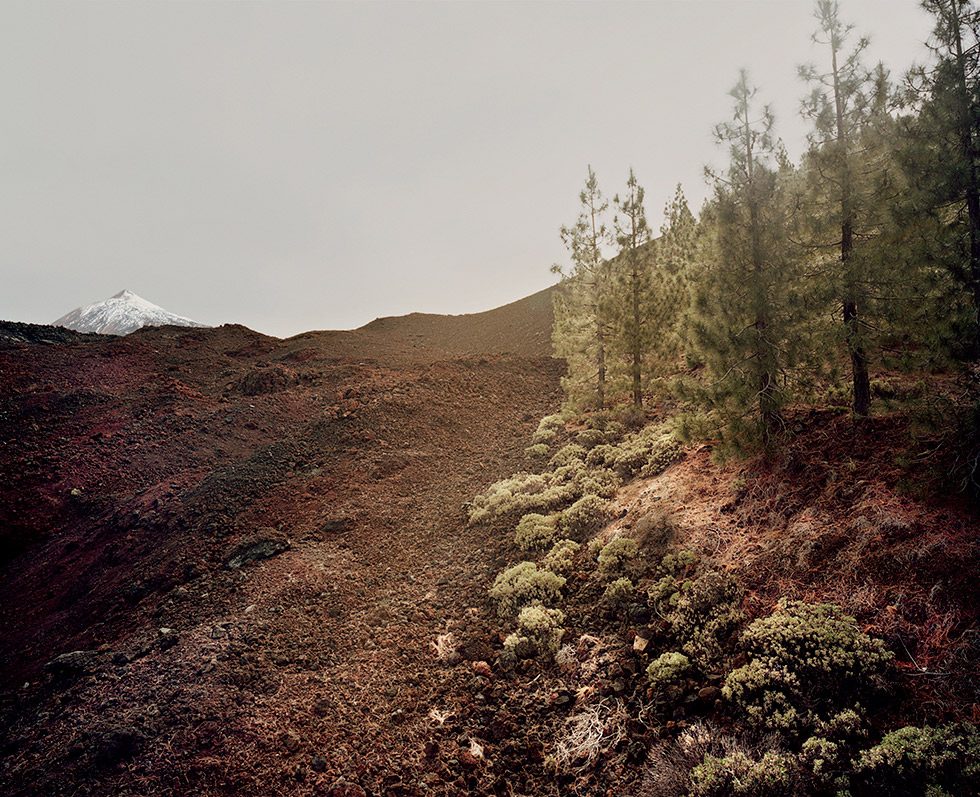Meike Nixdorf, View #01 by 
