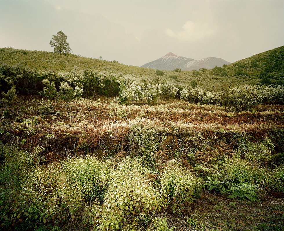 Meike Nixdorf, El Teide, View#07 by 