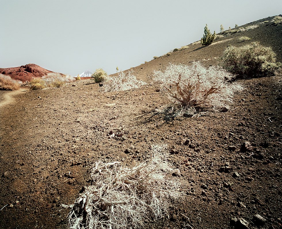 Meike Nixdorf, El Teide, View#09 by 