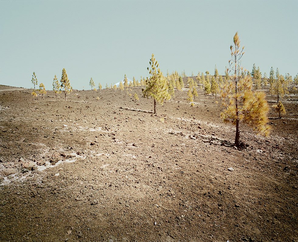 El Teide, View#14 by 