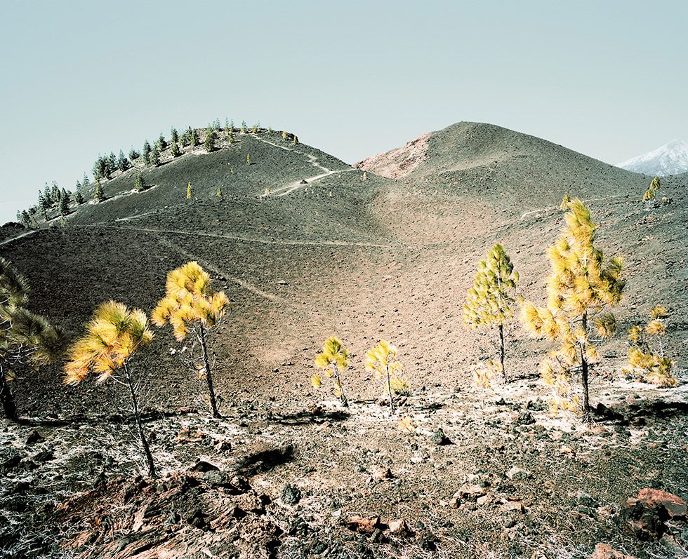 Meike Nixdorf, El Teide, view#15 by 