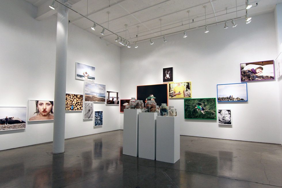 Jesse Burke, Wild & Precious, Installation Image 4 by 