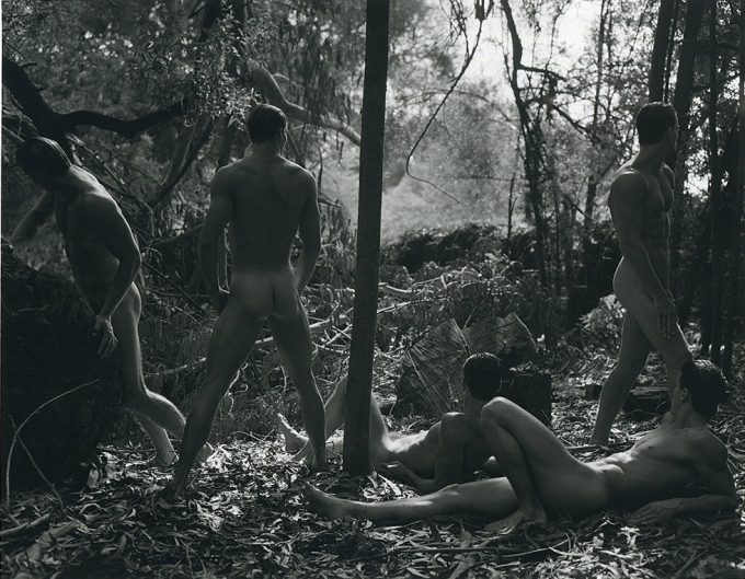 Group of men in a cleaning in the woods, some a lying on the ground some are standing