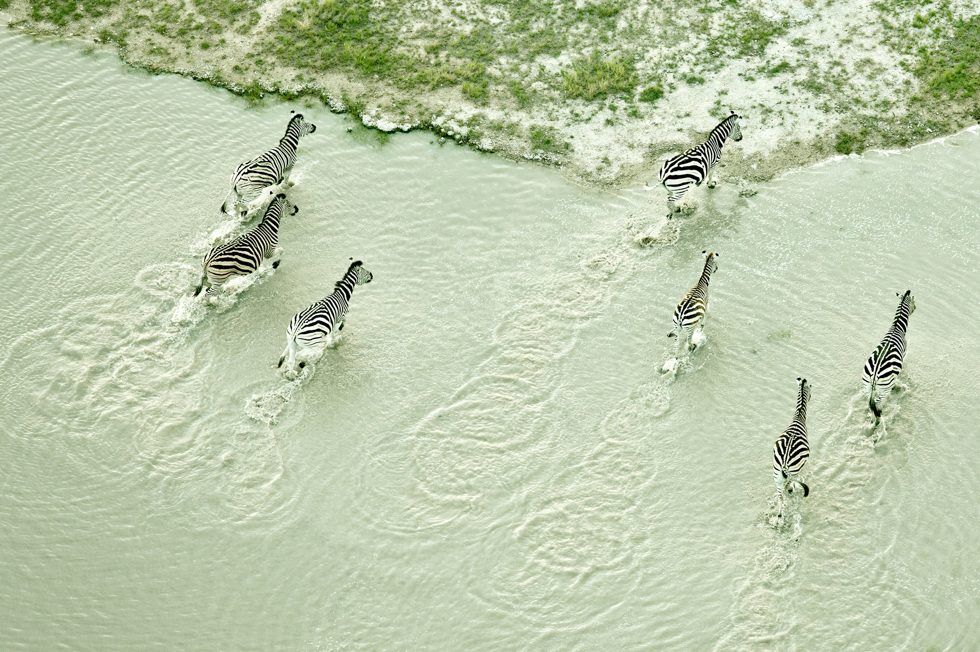 Kalahari Crossing by Zack Seckler