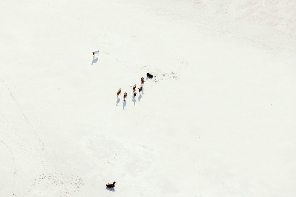 Moving West by Zack Seckler