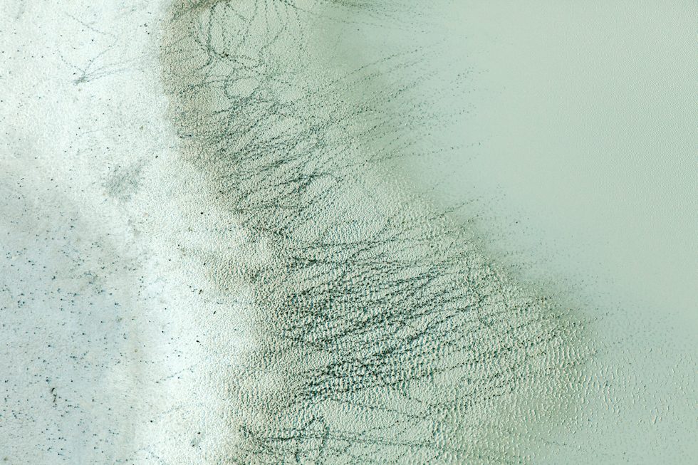 Tracks and Water by Zack Seckler