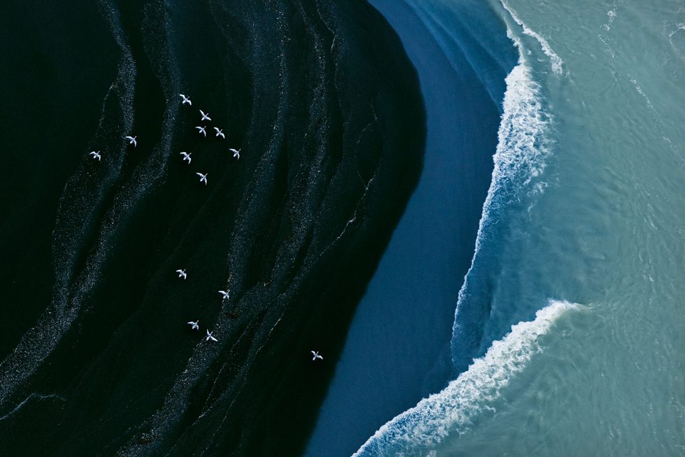 In Flight by Zack Seckler