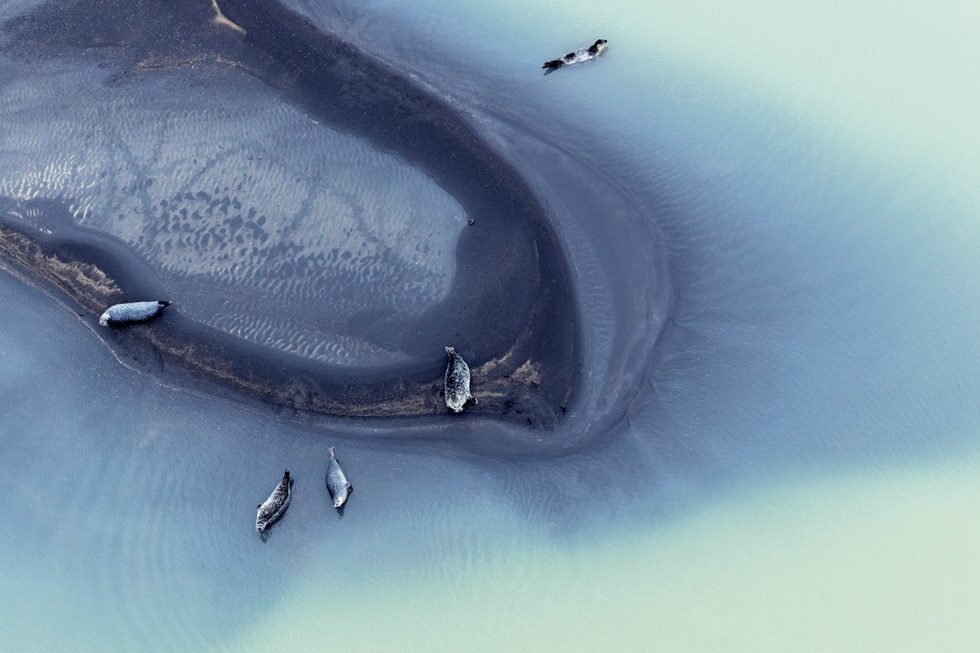 Layover by Zack Seckler