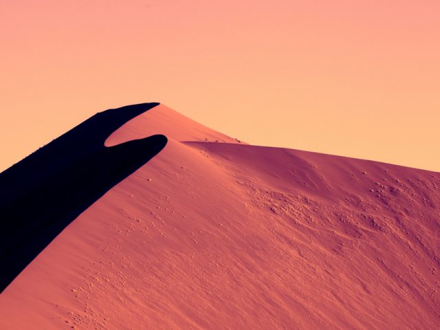 Zack Seckler, Namib Dune