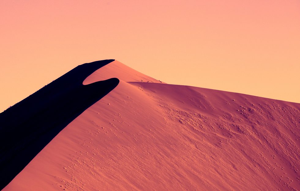 Namib Dune by Zack Seckler