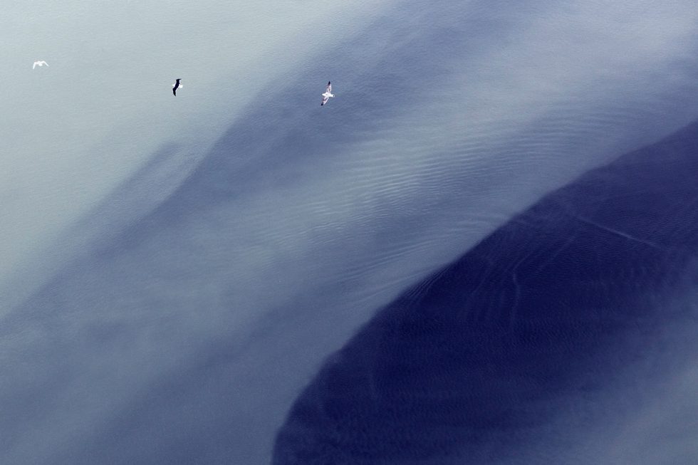 Three by Zack Seckler