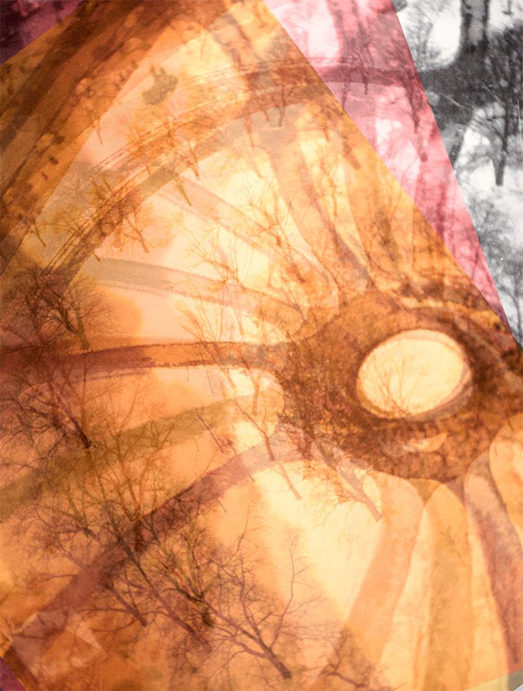 A ethereal multiple exposure of an overhead view of a park during the winter.