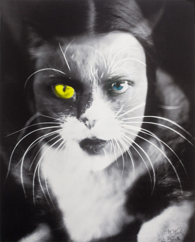A black and white photograph of a woman/cat hybrid with one bright yellow eye on the left.