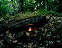 This is a color photograph of a forest floor with a glowing crystal beneath the ledge of a rock.