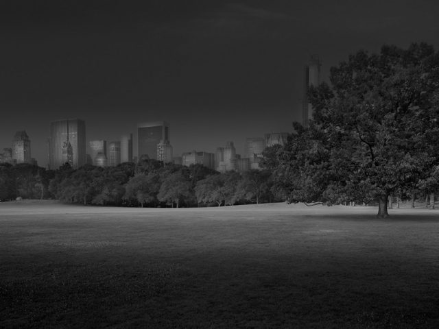 Michael Massaia, Sheep Meadow Sunrise