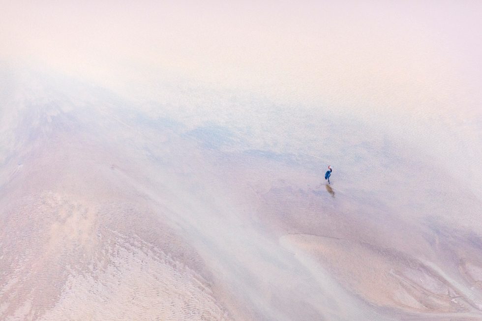 Goliath Heron by Zack Seckler